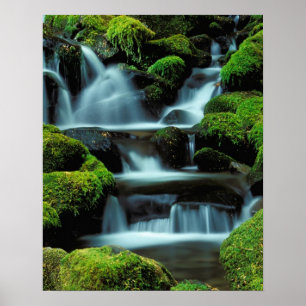 North America; USA; Washington, Sol Duc Cascade Poster