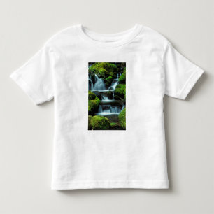 North America; USA; Washington, Sol Duc Cascade Toddler T-Shirt