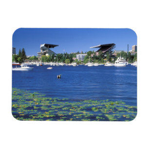 North America, USA, Washington State, Seattle, Magnet