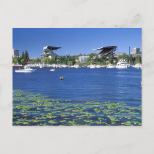 North America, USA, Washington State, Seattle, Postcard