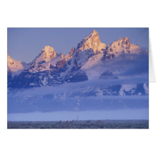 North America, USA, Wyoming, Grand Teton NP, 2