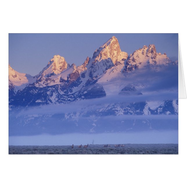 North America, USA, Wyoming, Grand Teton NP, 2 (Front Horizontal)