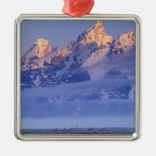 North America, USA, Wyoming, Grand Teton NP, 2 Metal Tree Decoration