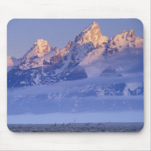 North America, USA, Wyoming, Grand Teton NP, 2 Mouse Pad