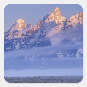 North America, USA, Wyoming, Grand Teton NP, 2 Square Sticker