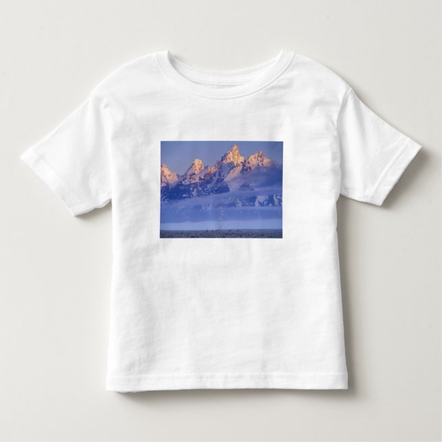 North America, USA, Wyoming, Grand Teton NP, 2 Toddler T-Shirt (Front)