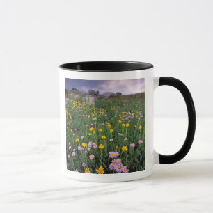 North America, USA, Wyoming, Yellowstone 2 Mug