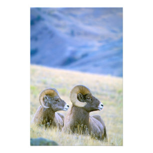 North America, USA, Wyoming, Yellowstone 2 Photo Print