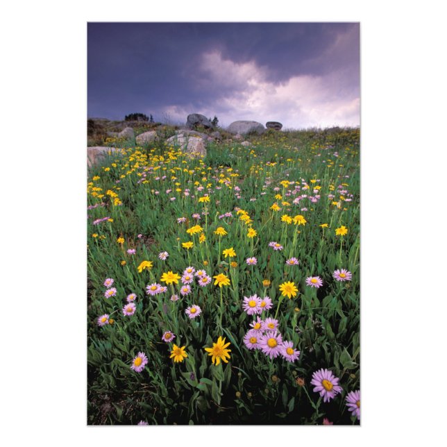 North America, USA, Wyoming, Yellowstone 2 Photo Print (Front)