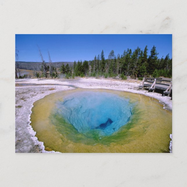 North America, USA, Wyoming, Yellowstone 2 Postcard (Front)