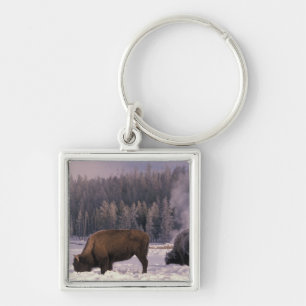 North America, USA, Wyoming, Yellowstone NP, Key Ring