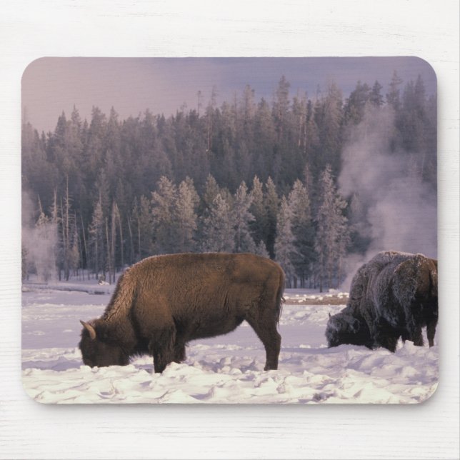 North America, USA, Wyoming, Yellowstone NP, Mouse Pad (Front)