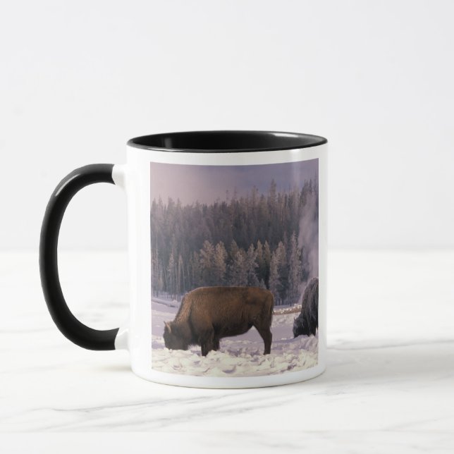 North America, USA, Wyoming, Yellowstone NP, Mug (Left)