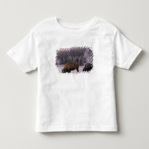 North America, USA, Wyoming, Yellowstone NP, Toddler T-Shirt
