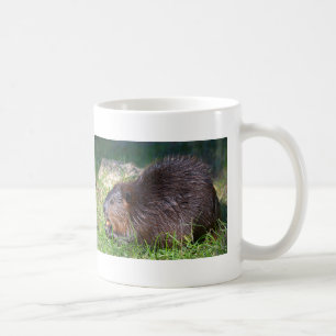 North American Beaver eating vegetable Coffee Mug