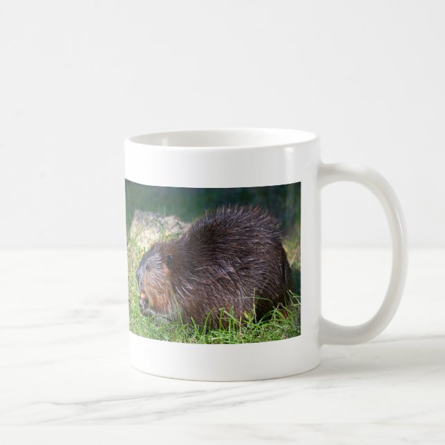North American Beaver eating vegetable Coffee Mug (Right)