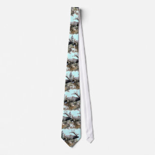 North American big game Tie