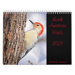 North American Birds 2027 Calendar