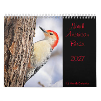 North American Birds 2027 Calendar