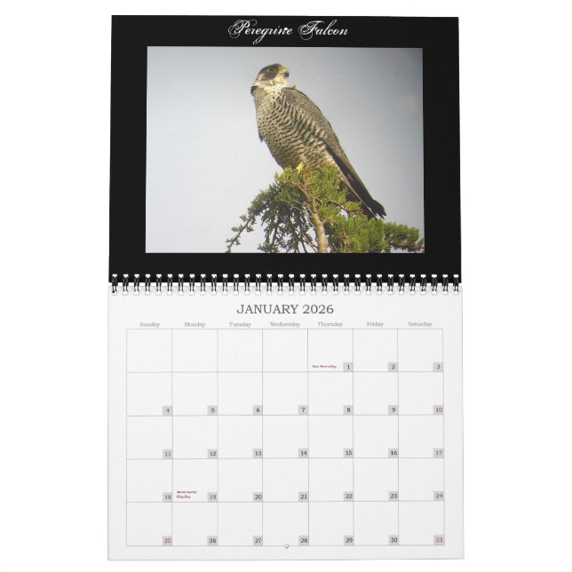 North American Birds Calendar (Jan 2026)