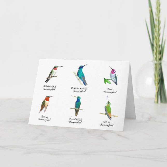 North American Hummingbirds  Card (Front)