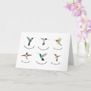 North American Hummingbirds   Card