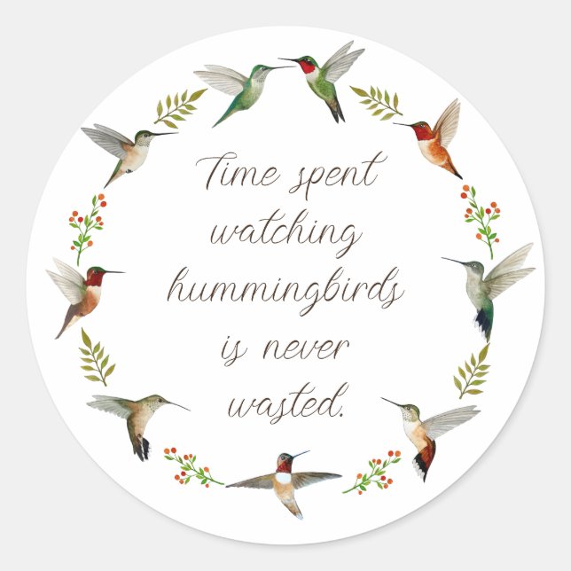North American Hummingbirds Classic Round Sticker (Front)