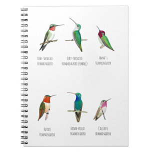 North American Hummingbirds Notebook
