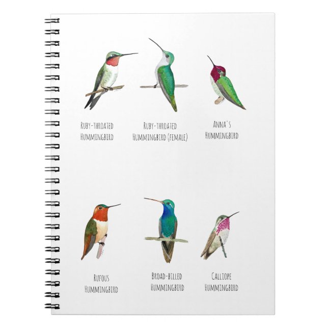 North American Hummingbirds Notebook (Front)