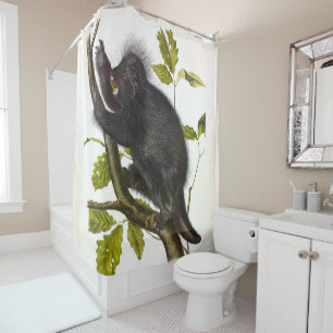 North American or Canada Porcupine by Audubon Shower Curtain