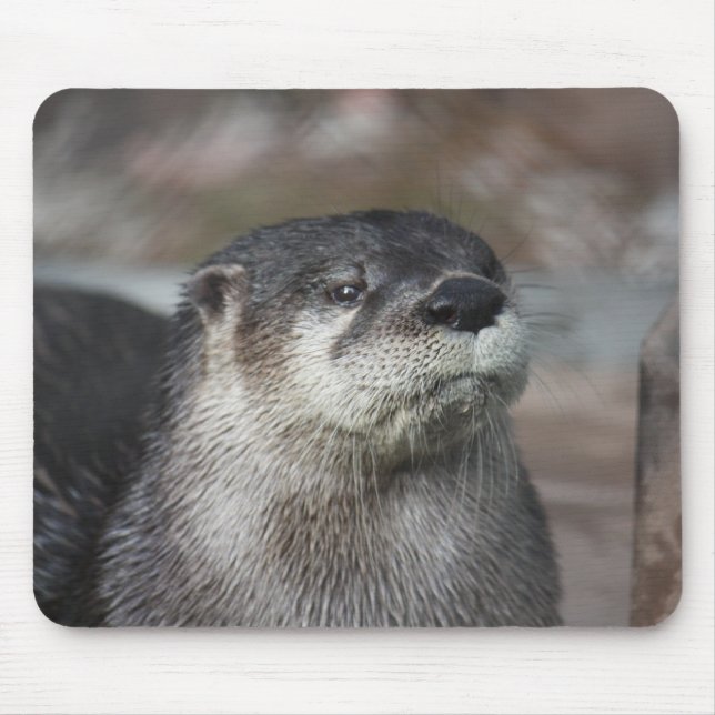North American River Otter Mousepad (Front)