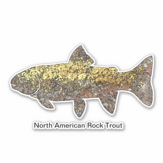 North American Rock Trout (Front)