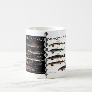 North American Sturgeon Posters Mug