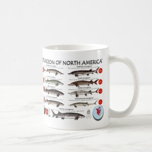 North American Sturgeon RedList Mug (Right)