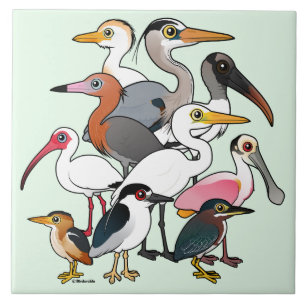 North American Waders Ceramic Tile