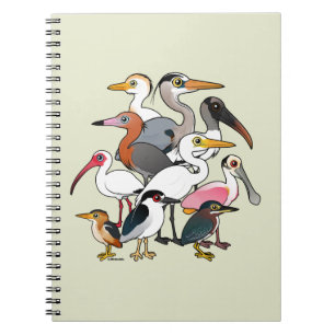 North American Waders Notebook