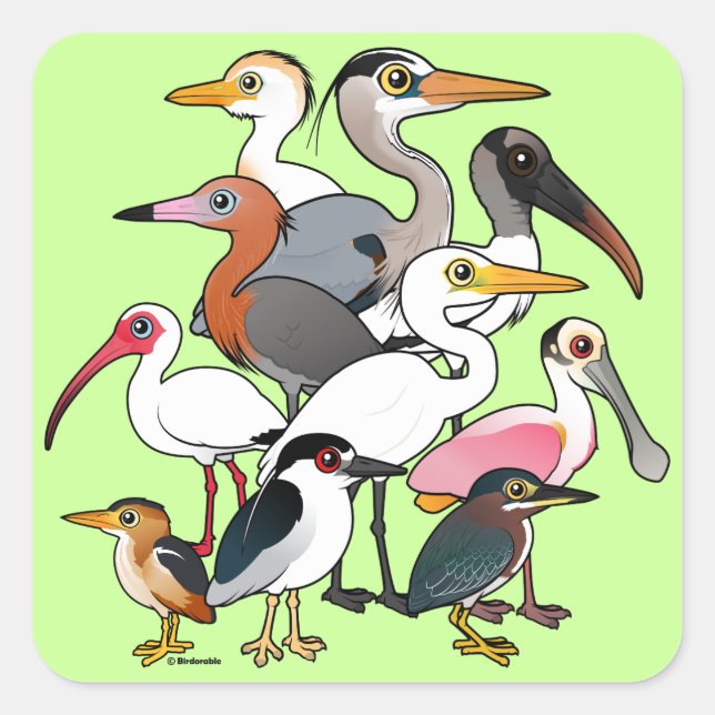 North American Waders Square Sticker (Front)