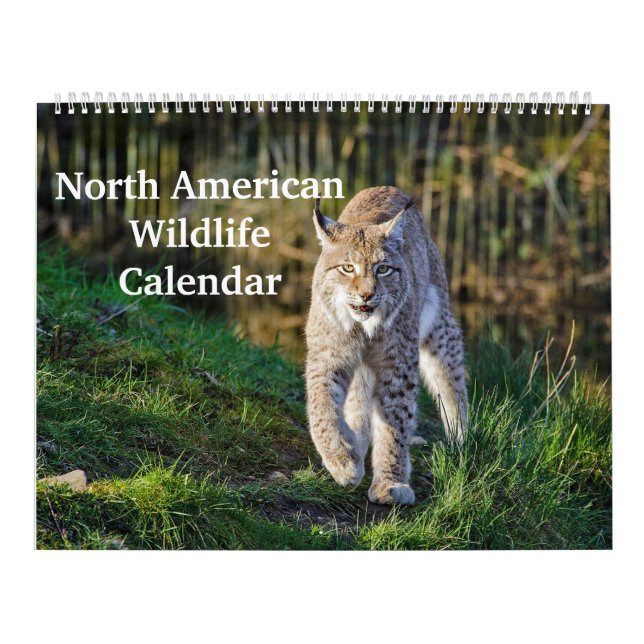 North American Wildlife Calendar (Cover)
