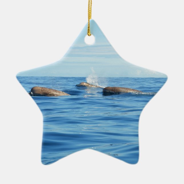 North Atlantic Bottlenose Whales Ceramic Ornament (Front)