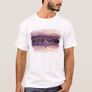 North Atlantic, Iceland, Breioamerkurjokull T-Shirt