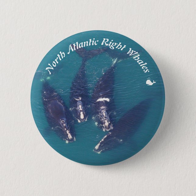 North Atlantic Right Whales by RoseWrites 6 Cm Round Badge (Front)