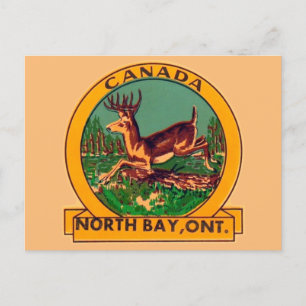 North Bay, Ontario - Postcard