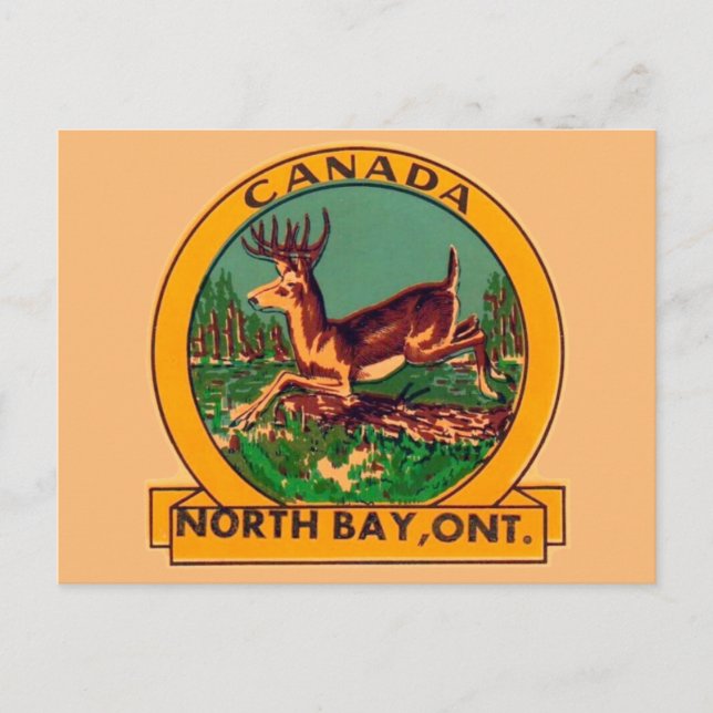  North Bay, Ontario - Postcard (Front)