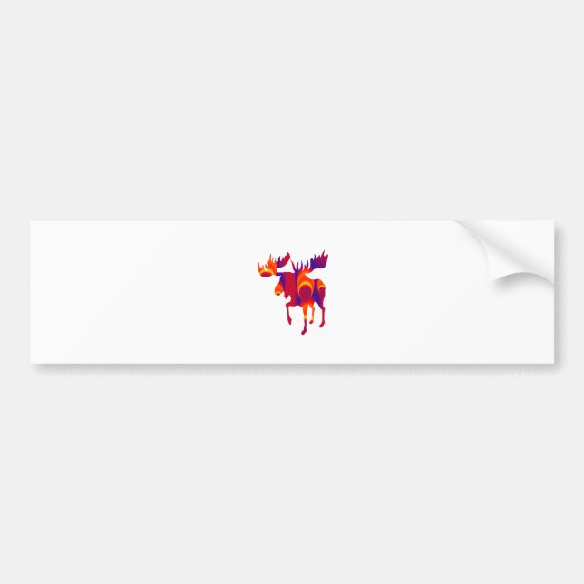 NORTH BY WEST BUMPER STICKER (Front)