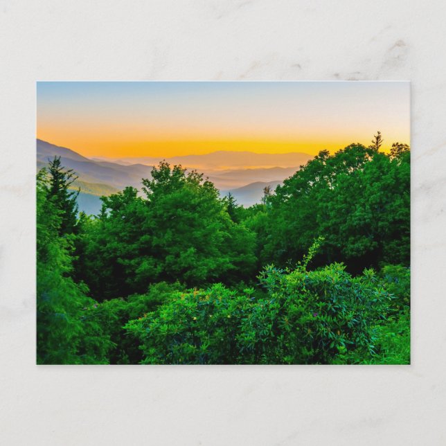 north carolina blue ridge barkway mountains postcard (Front)