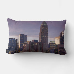 North Carolina, Charlotte, elevated view Lumbar Cushion