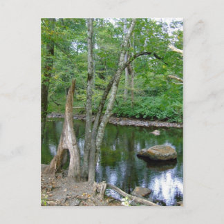 North Carolina Creek Postcard