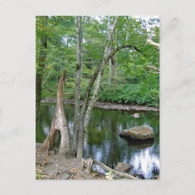North Carolina Creek Postcard (Front)
