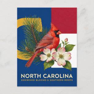 North Carolina Dogwood And Cardinal State Symbols Postcard