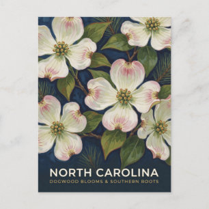 North Carolina Dogwood State Flower Scene Postcard